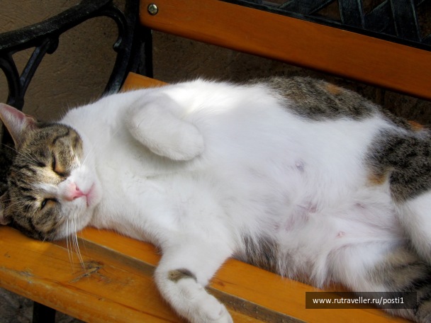 photo 1224909