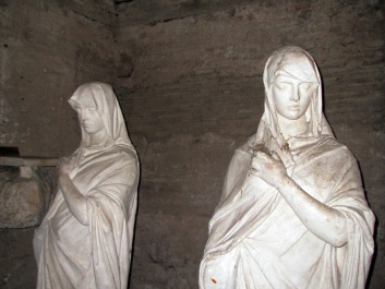 photo 1239567