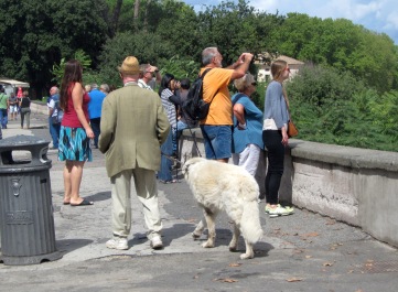 photo 1386723