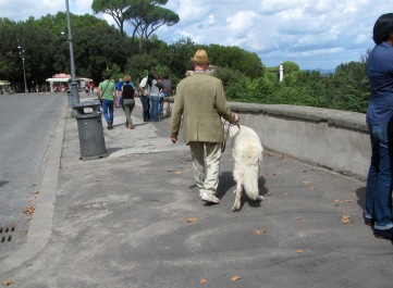 photo 1386724