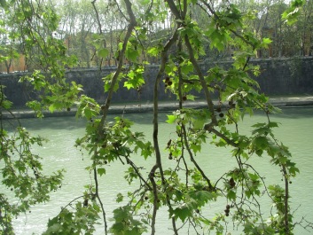 photo 1276673