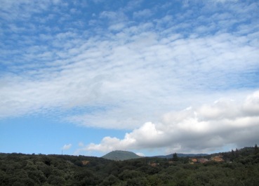 photo 1409936