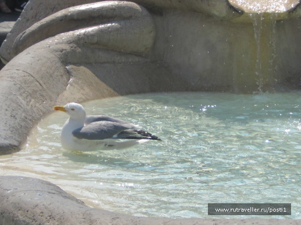 photo 1461856