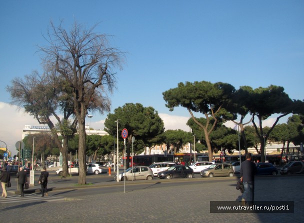 photo 1466862
