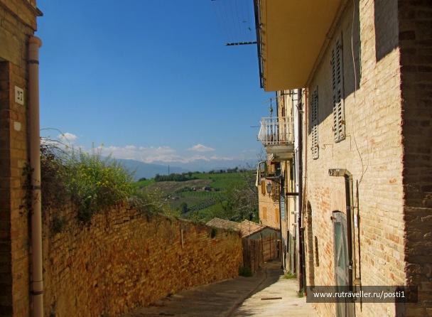 photo 1469296