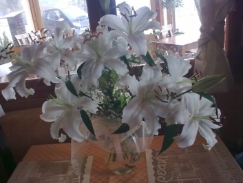 photo 738028