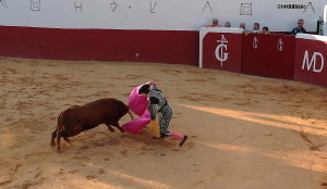 photo 183453