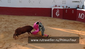 photo 183453