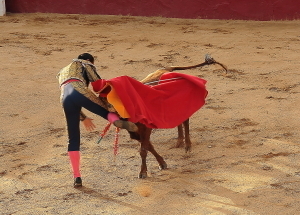 photo 183456
