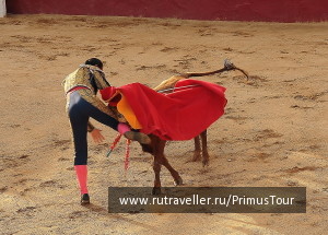 photo 183456