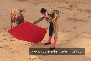 photo 183457
