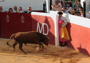 photo 183458