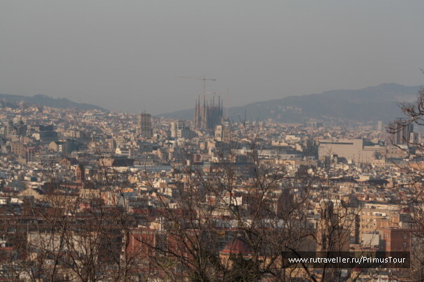 photo 184333