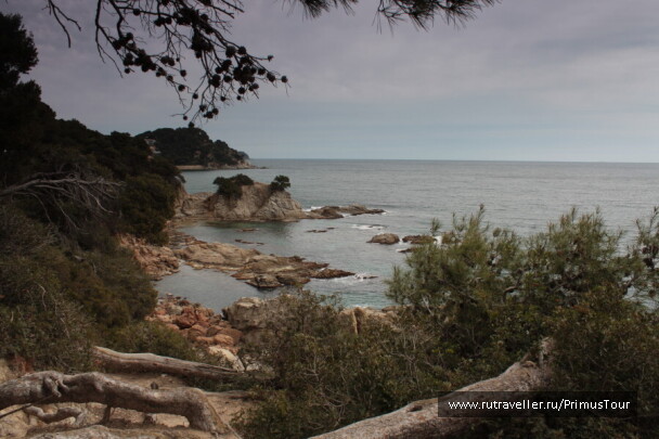 photo 194382