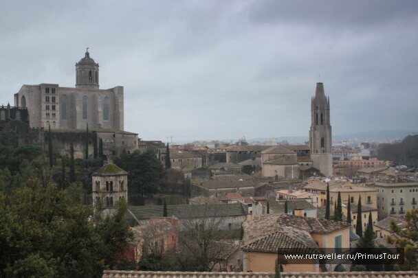 photo 194395