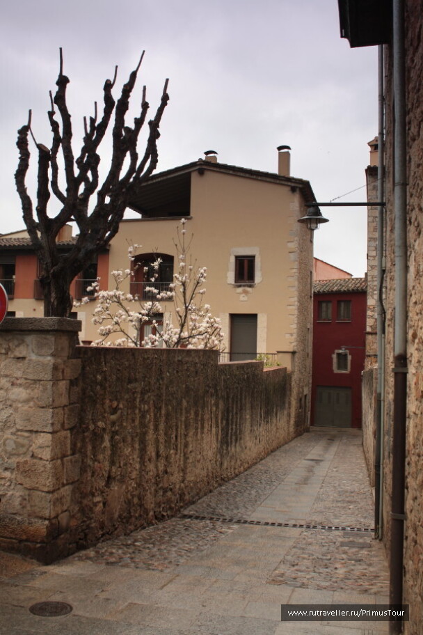 photo 194402