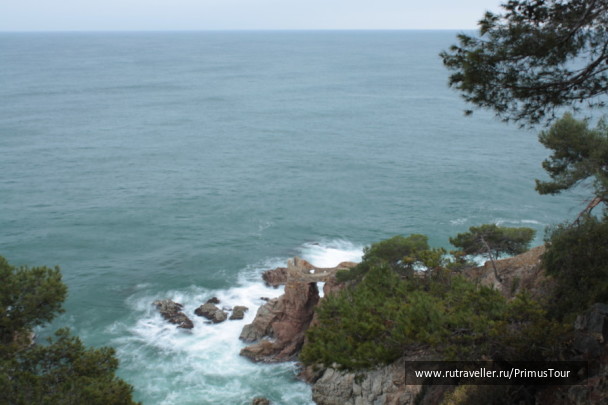photo 194405