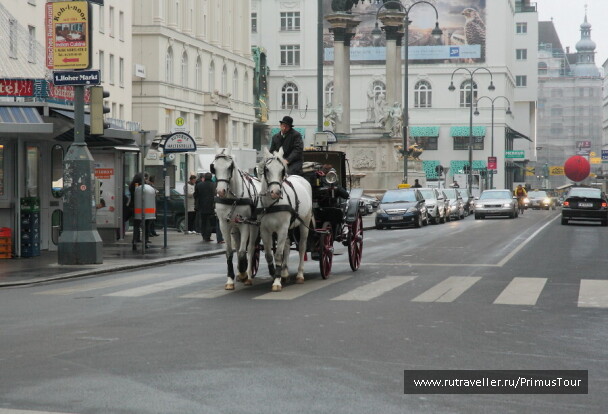 photo 206638