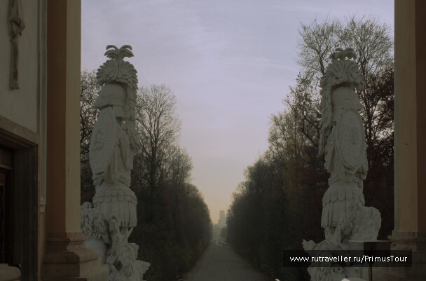 photo 206645