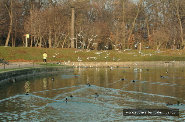 photo 206904