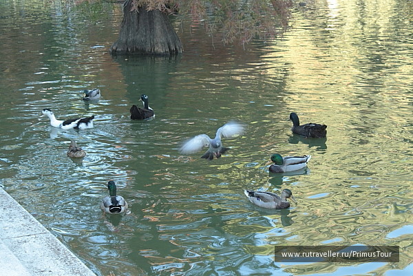 photo 589968