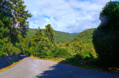 photo 660783