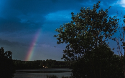 photo 809157