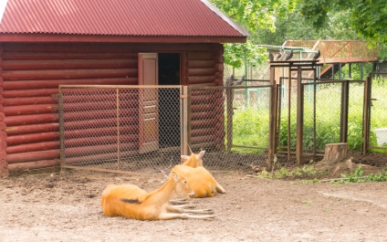 photo 892802