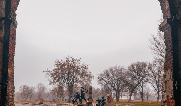 ������ 2019 (55)