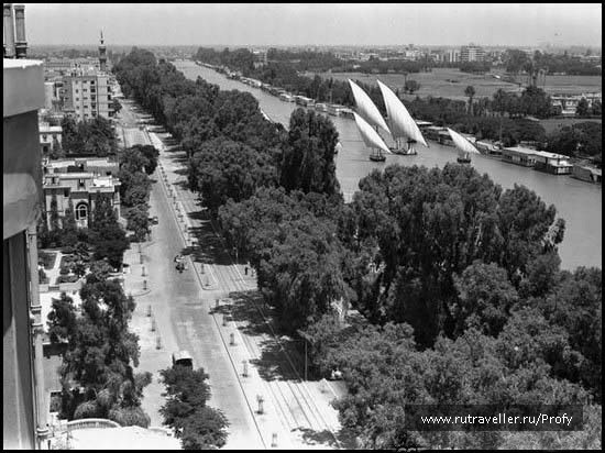 photo 131951