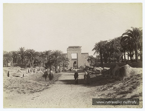 photo 131952