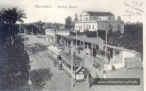 photo 131954