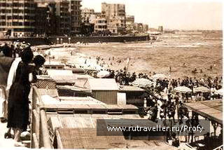 photo 131955