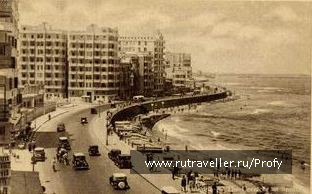 photo 131957