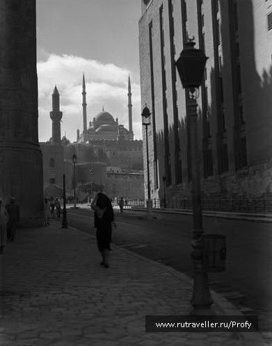 photo 131962