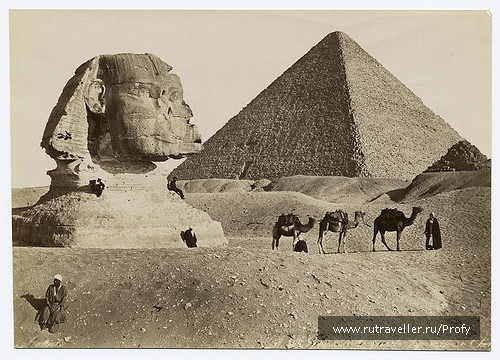 photo 131967