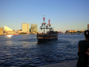 photo 536113
