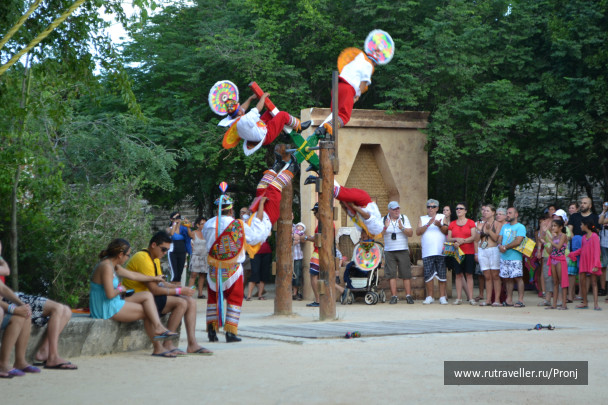 photo 241480
