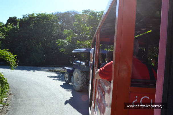 photo 241487