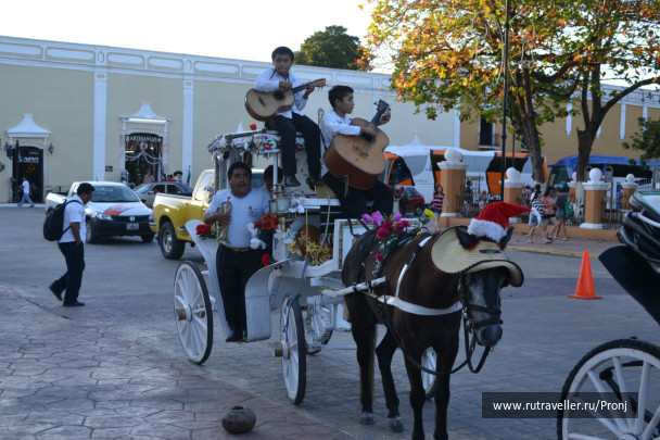 photo 241565