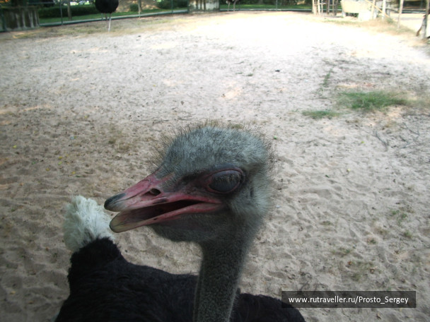 photo 23786