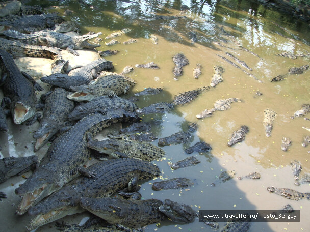 photo 23787