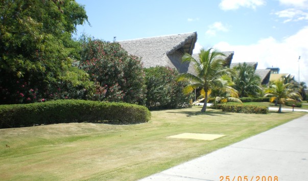 IMGP0011