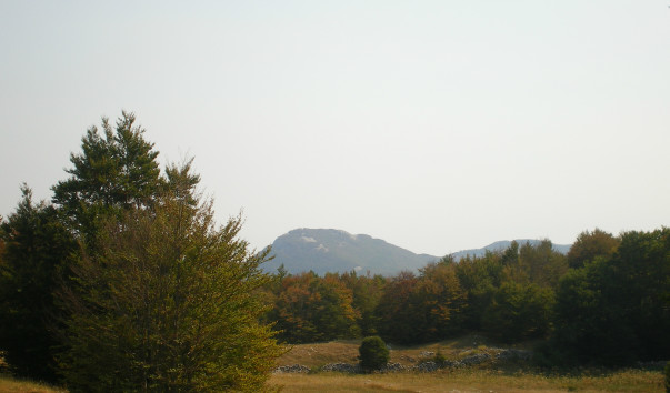 IMGP1753