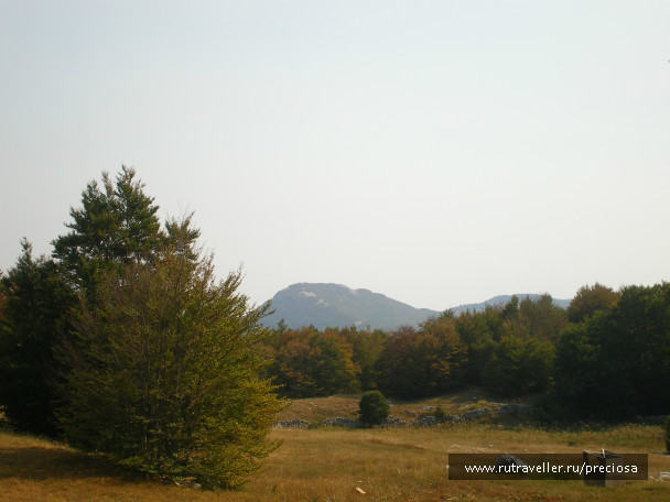 photo 157058