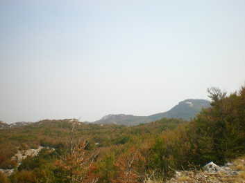 photo 157059