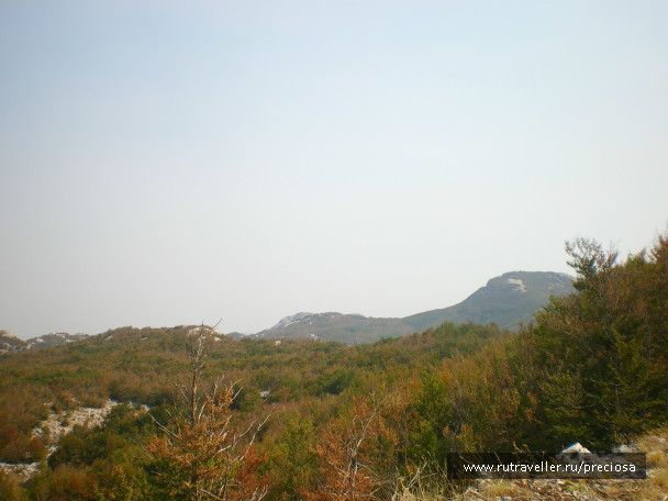 photo 157059