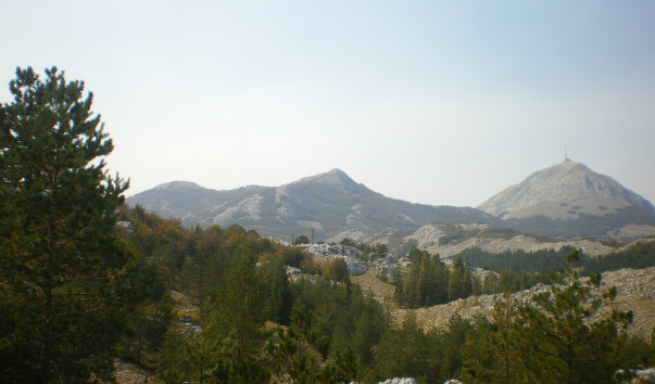 IMGP1747