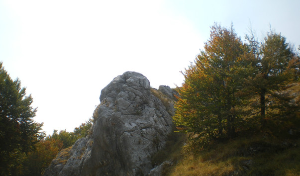 IMGP1746