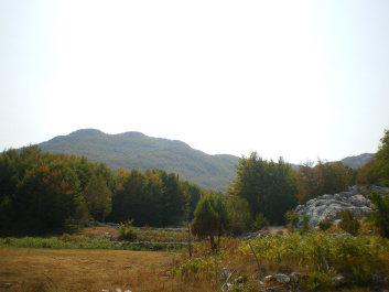 photo 157064
